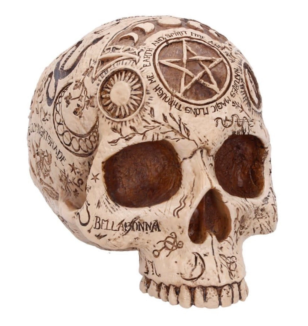 Apothecary Skull 15cm Statue