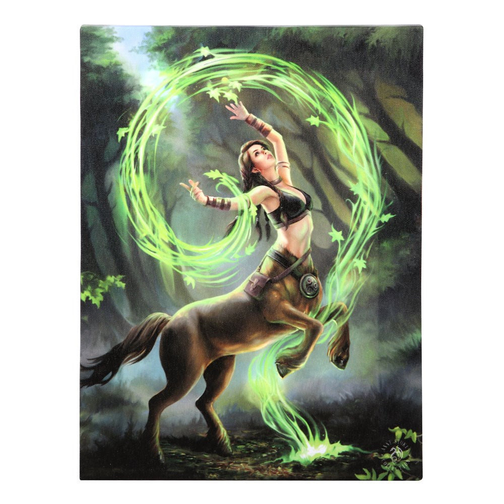 Earth Element Sorceress 19x25cm Canvas Plaque by Anne Stokes