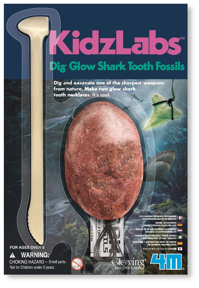 Kidzlabz Glowing Shark Tooth Fossil Kit