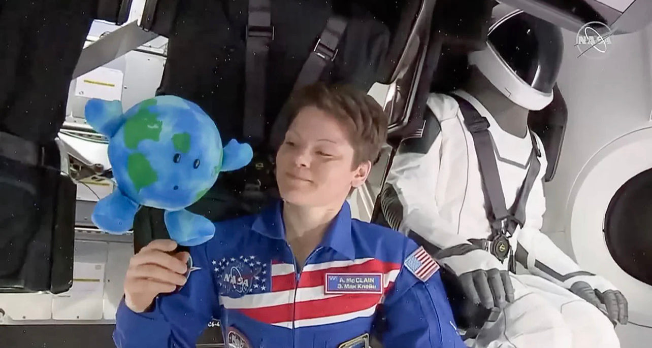 Little Earth Buddy