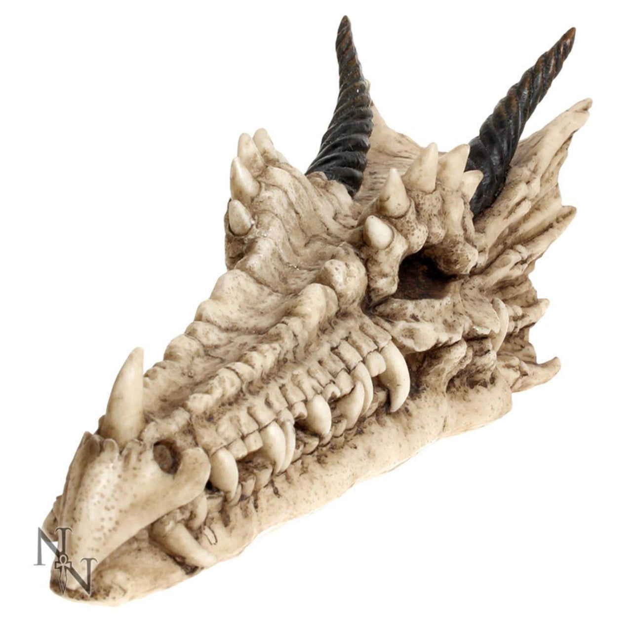 Draco Skull Incense Holder 24cm