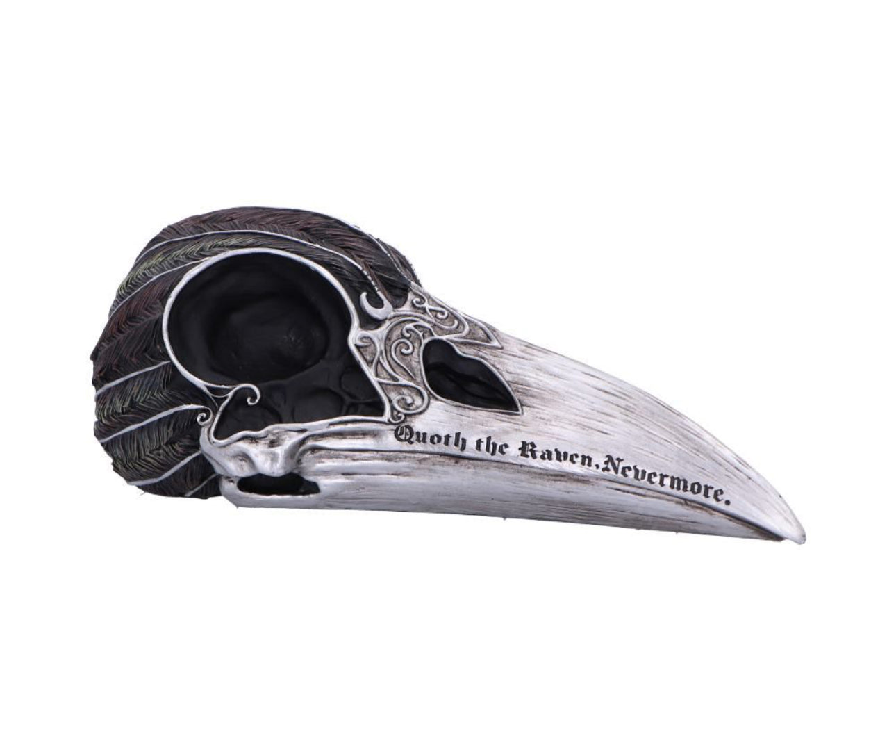 Quoth The Raven Skull 20.2cm