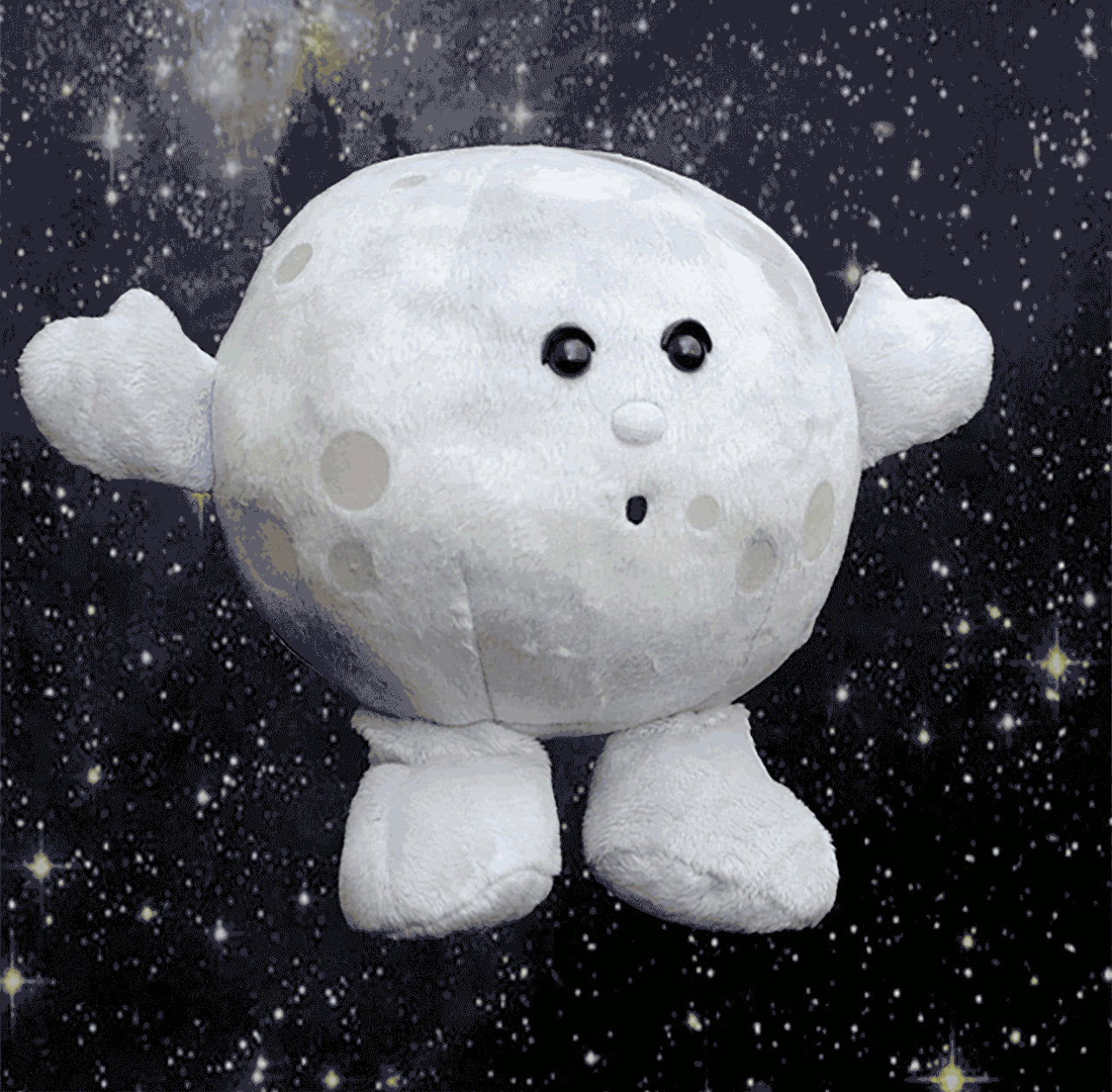 Moon Buddy