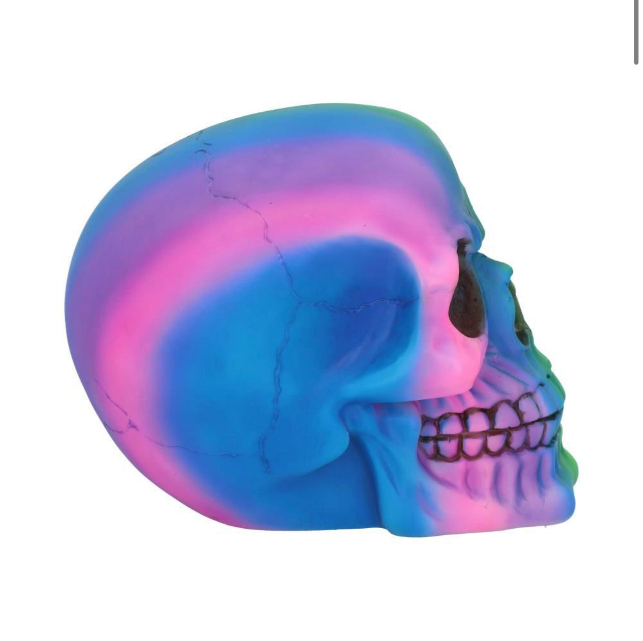 Rainbow 15.5cm Skull