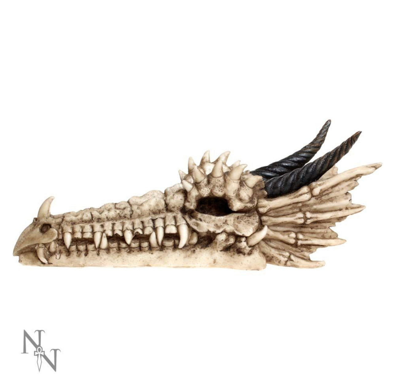 Draco Skull Incense Holder 24cm