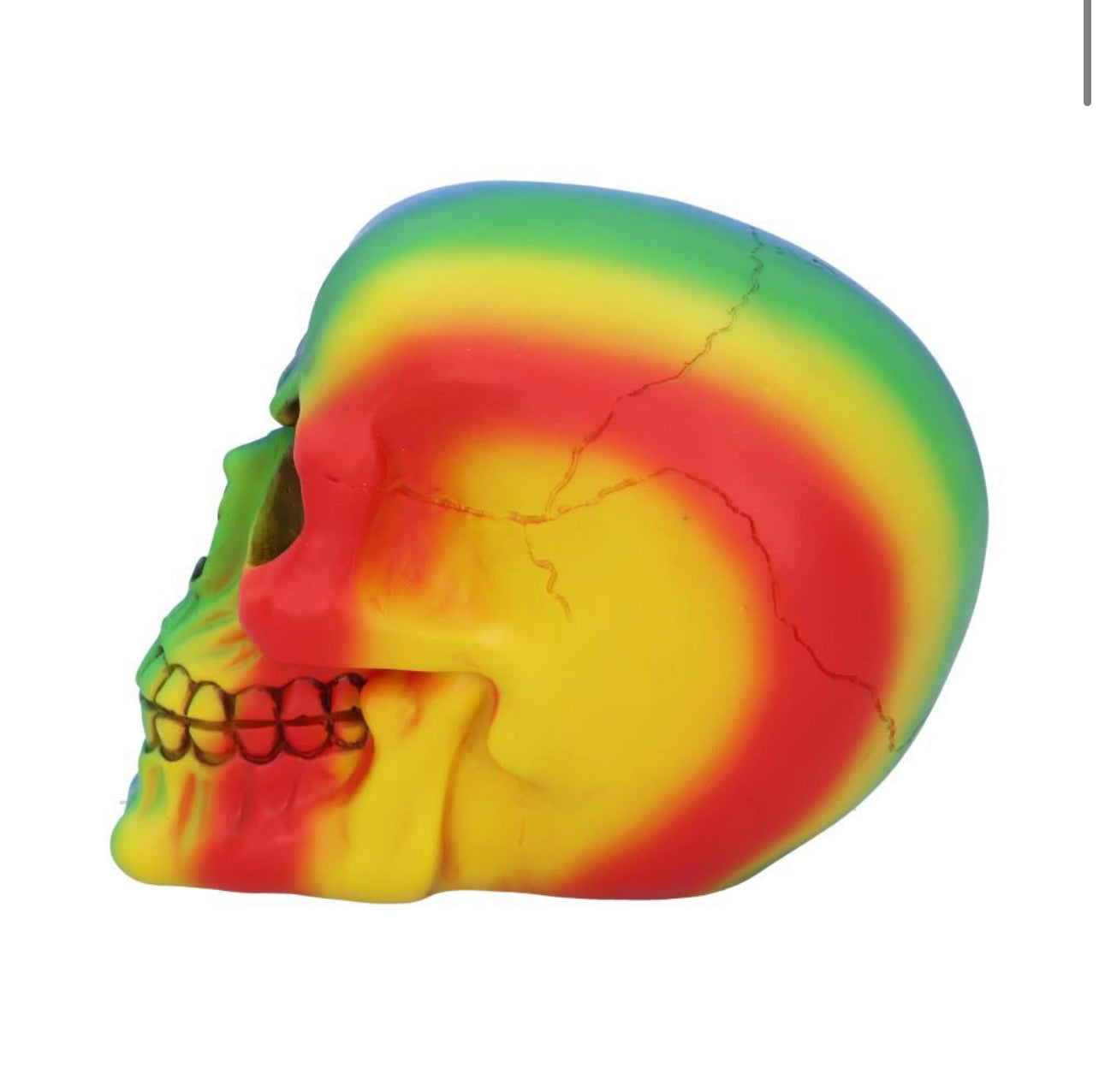 Rainbow 15.5cm Skull