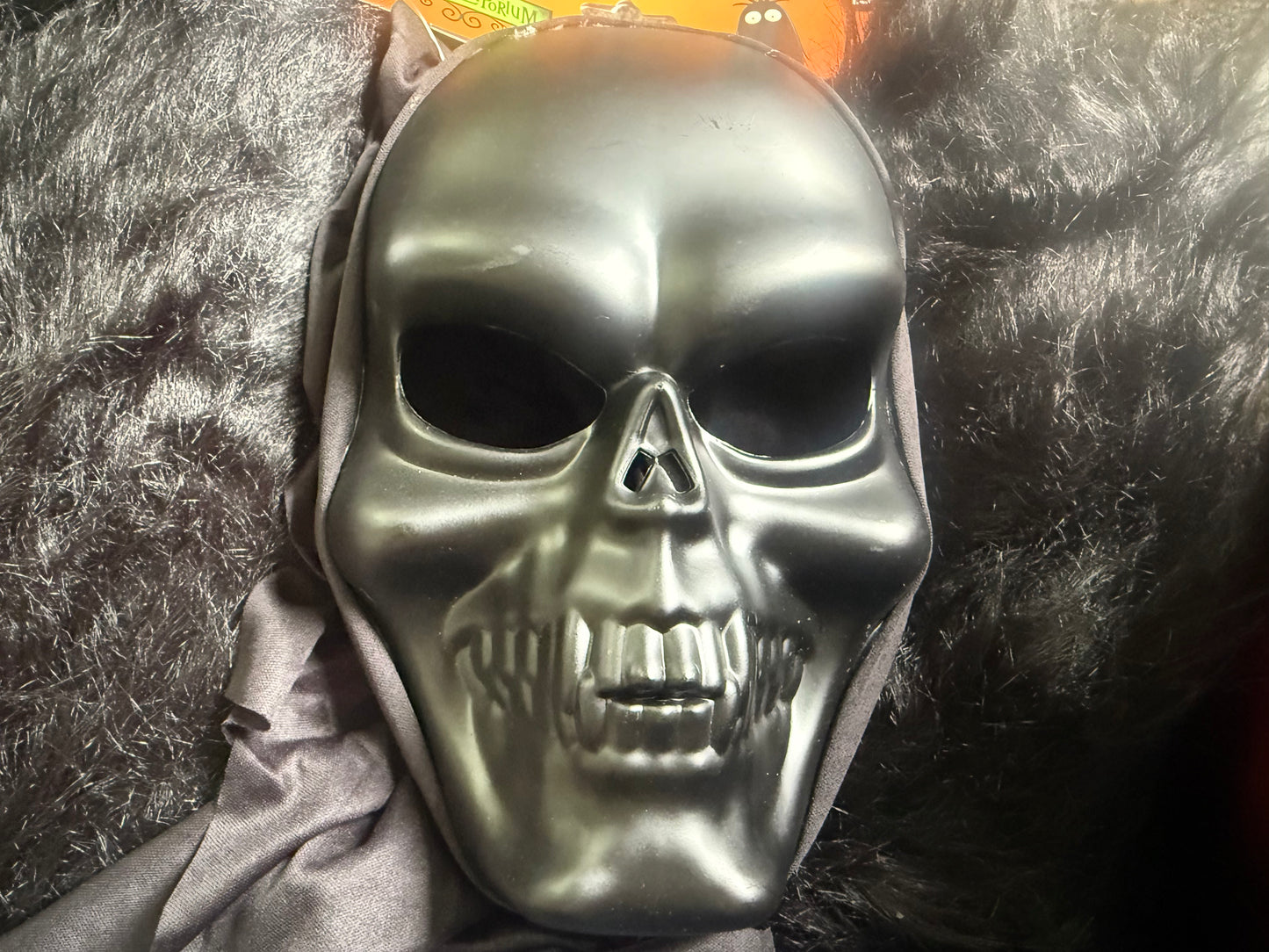 Halloween Adult Black Skull Hooded Mask