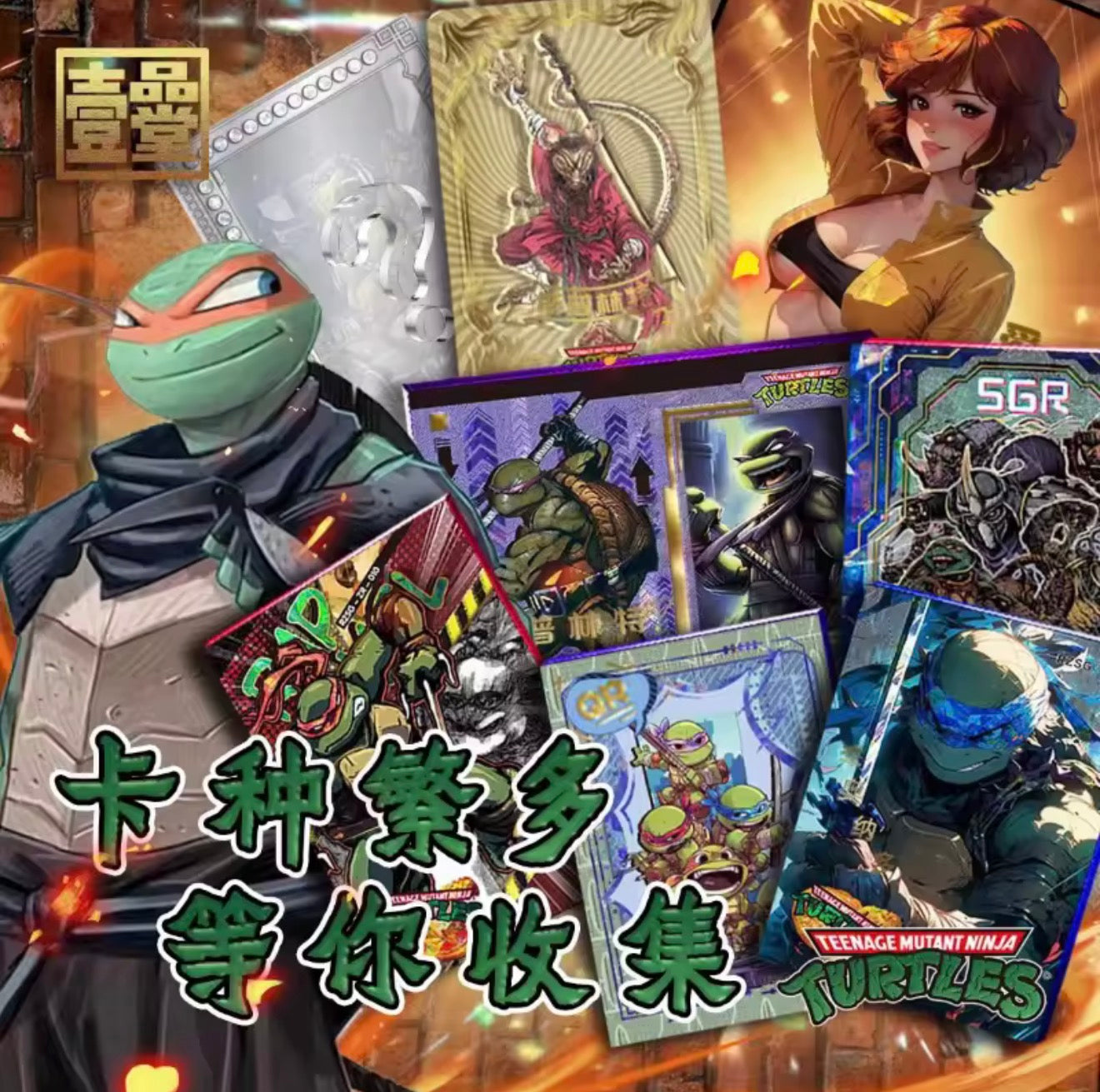 Rise of The Teenage Mutant Ninja Turtles Booster Pack (CN)