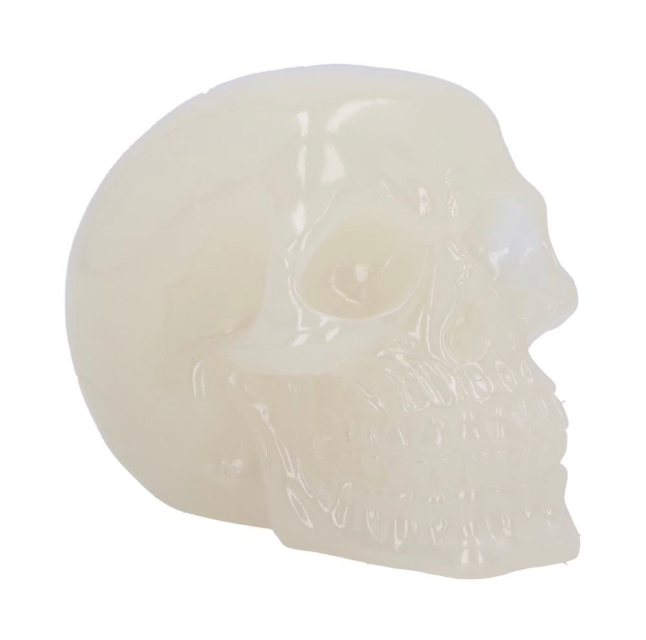 Phosphorescent Skull