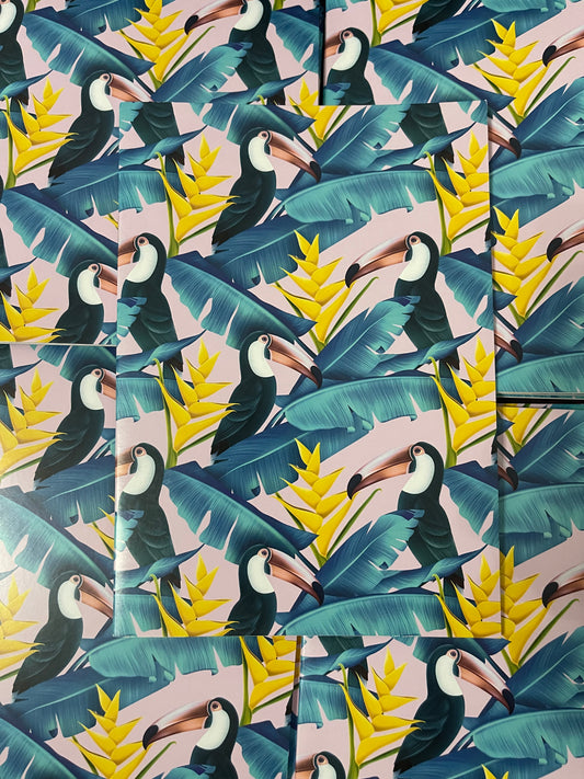 Toucan Sketch Book