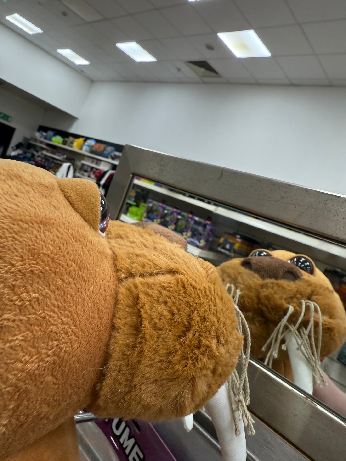 Walrus Plush