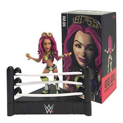 WWE Slam Crate Slam Stars Sasha Banks Series 2 Figure