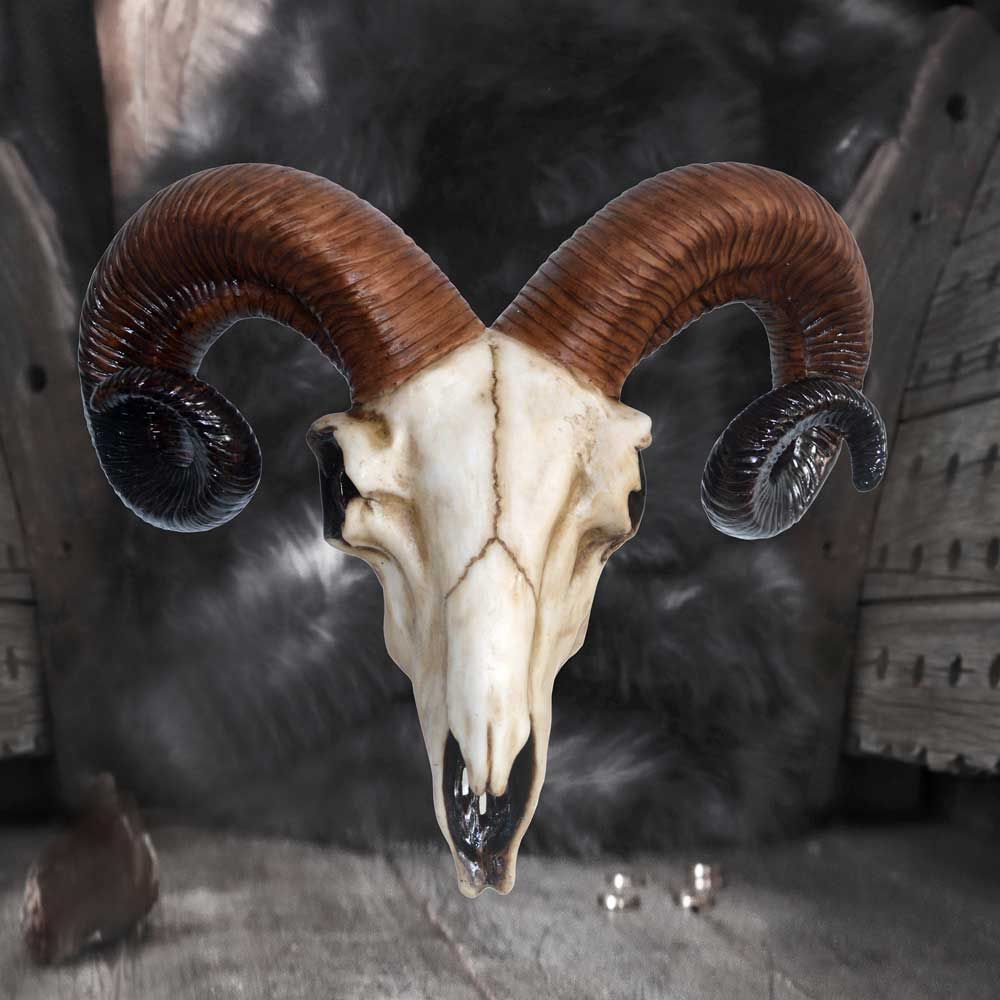 Rams Skull 33cm