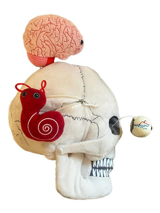 Deluxe Skull with Hidden Organs Plush