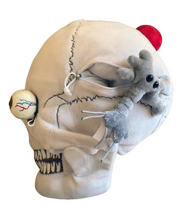 Deluxe Skull with Hidden Organs Plush