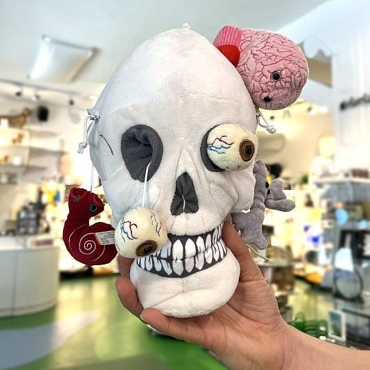 Deluxe Skull with Hidden Organs Plush