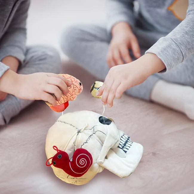 Deluxe Skull with Hidden Organs Plush