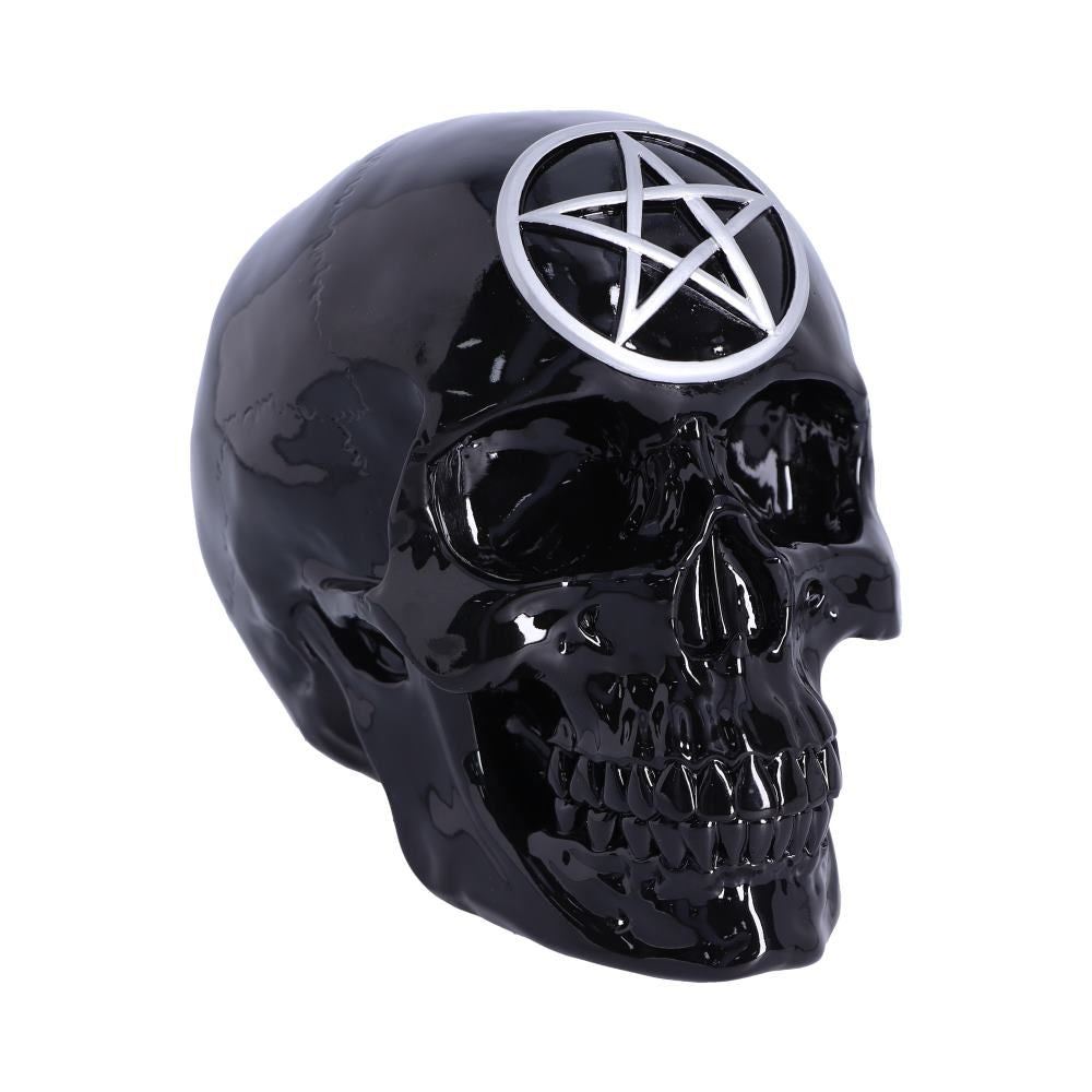 Black Magic 19.5cm Skull