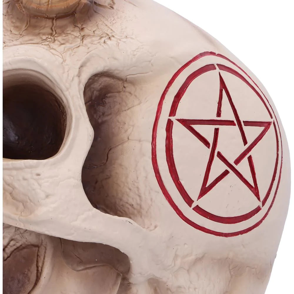 666 17cm Skull