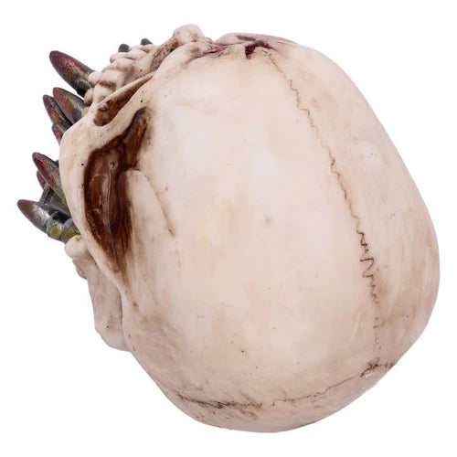 Bite the Bullet Skull