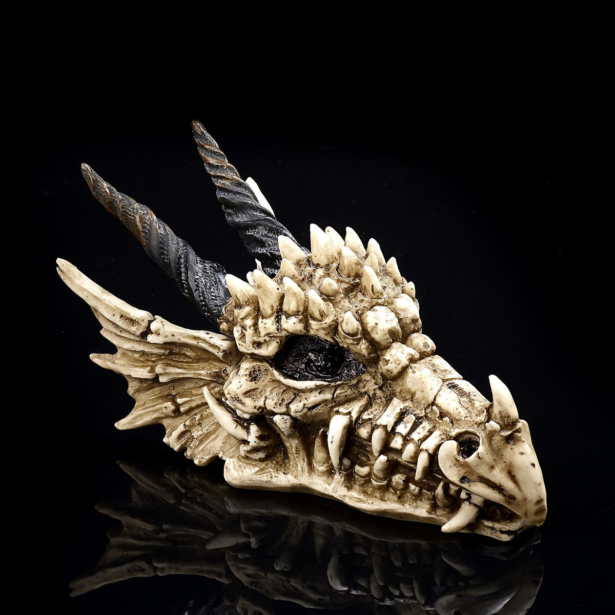 Dragon Skull Box 20cm
