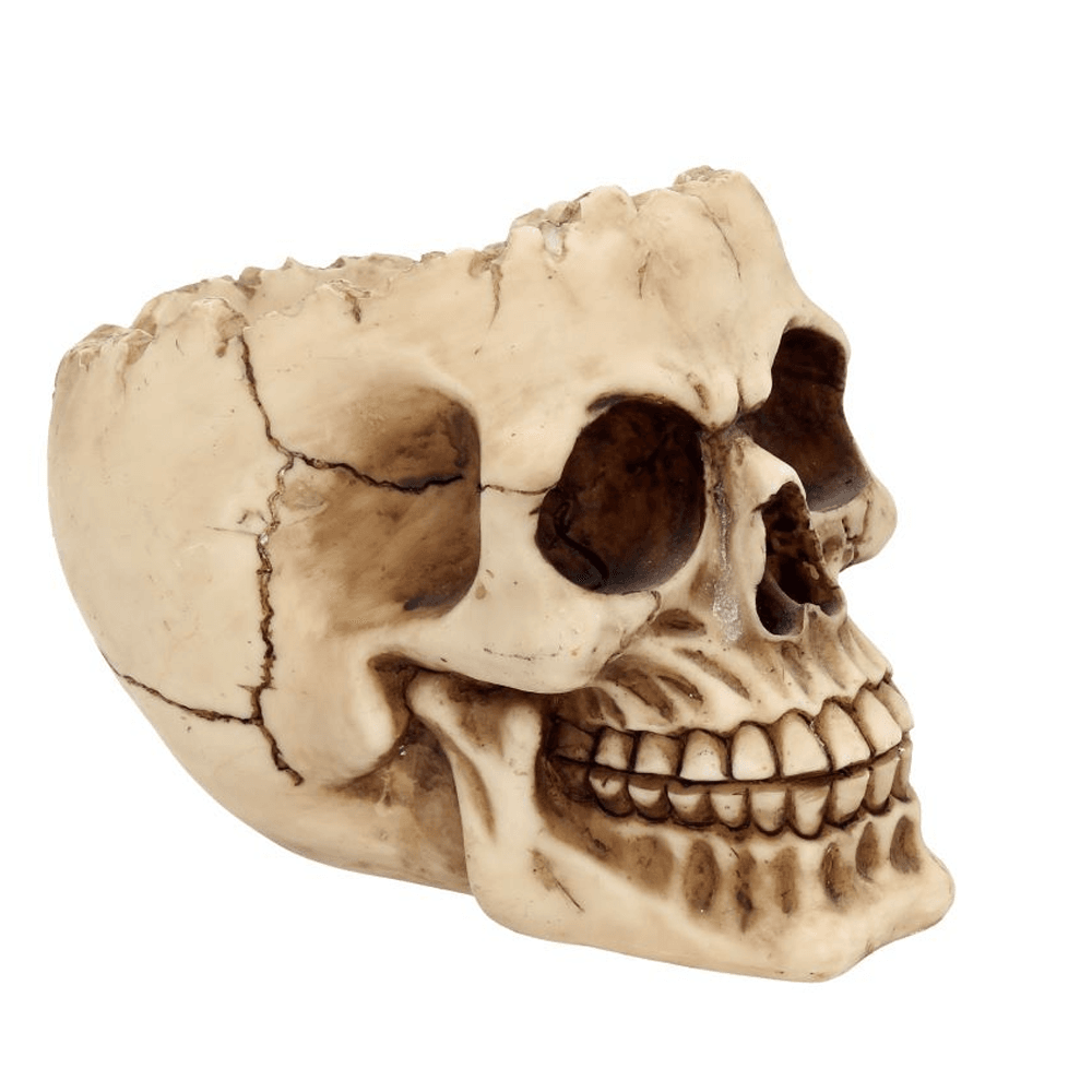 Lobo 14.5cm Skull