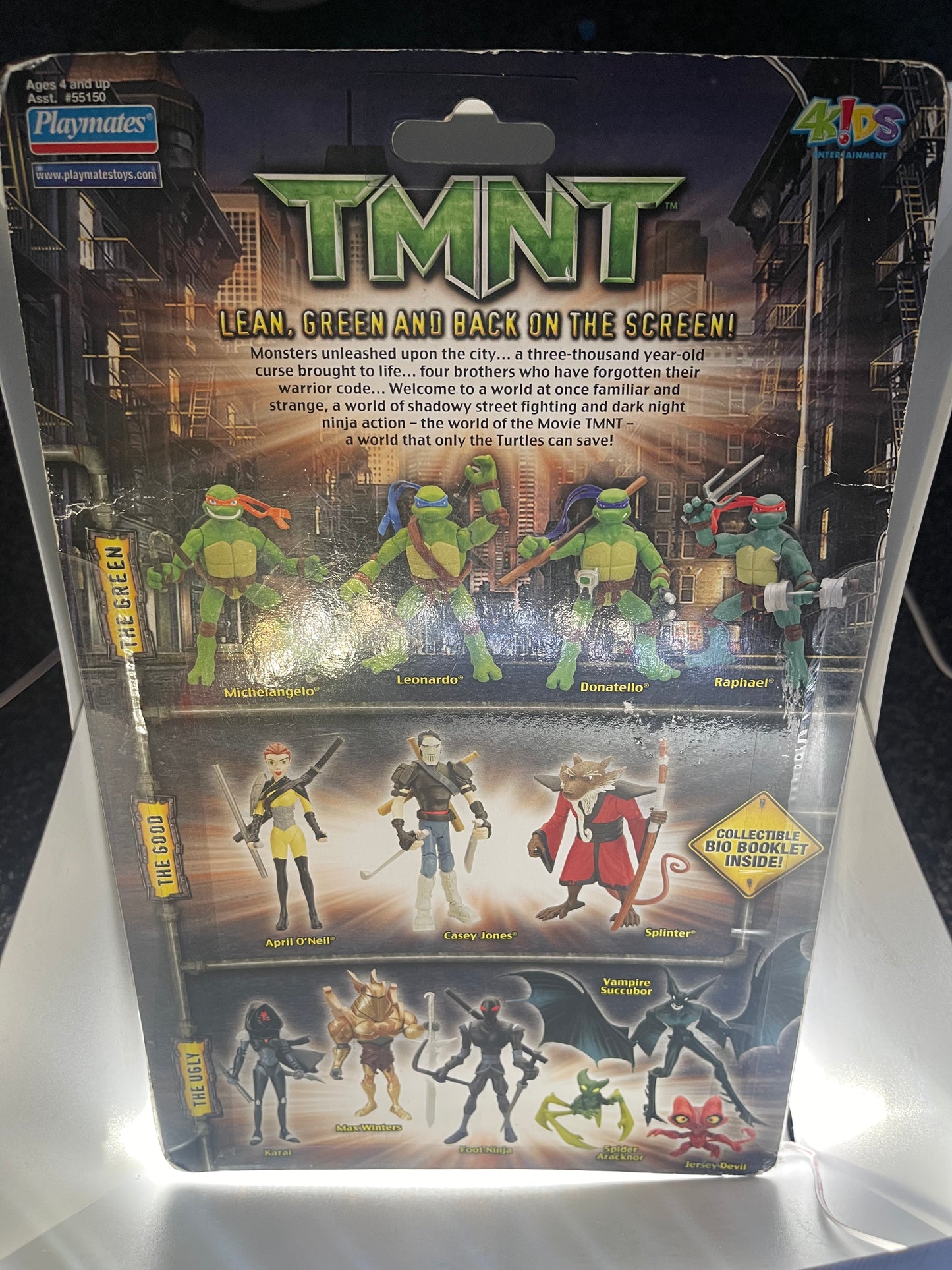 TMNT Casey Jones 2006 Playmates Figure