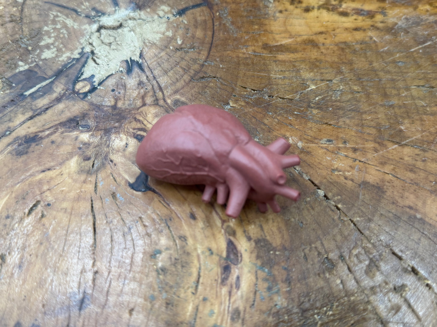 Organ Body Part Miniature Figure