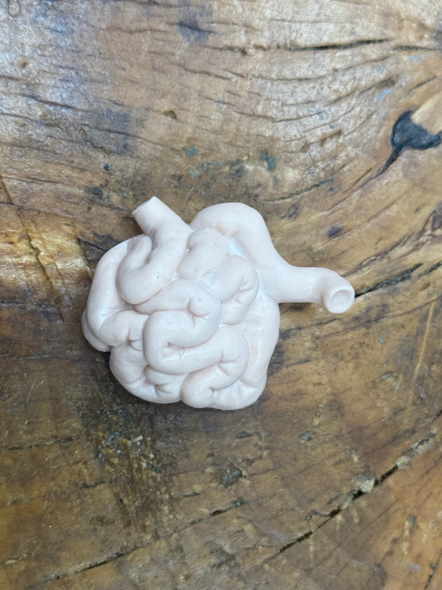 Organ Body Part Miniature Figure