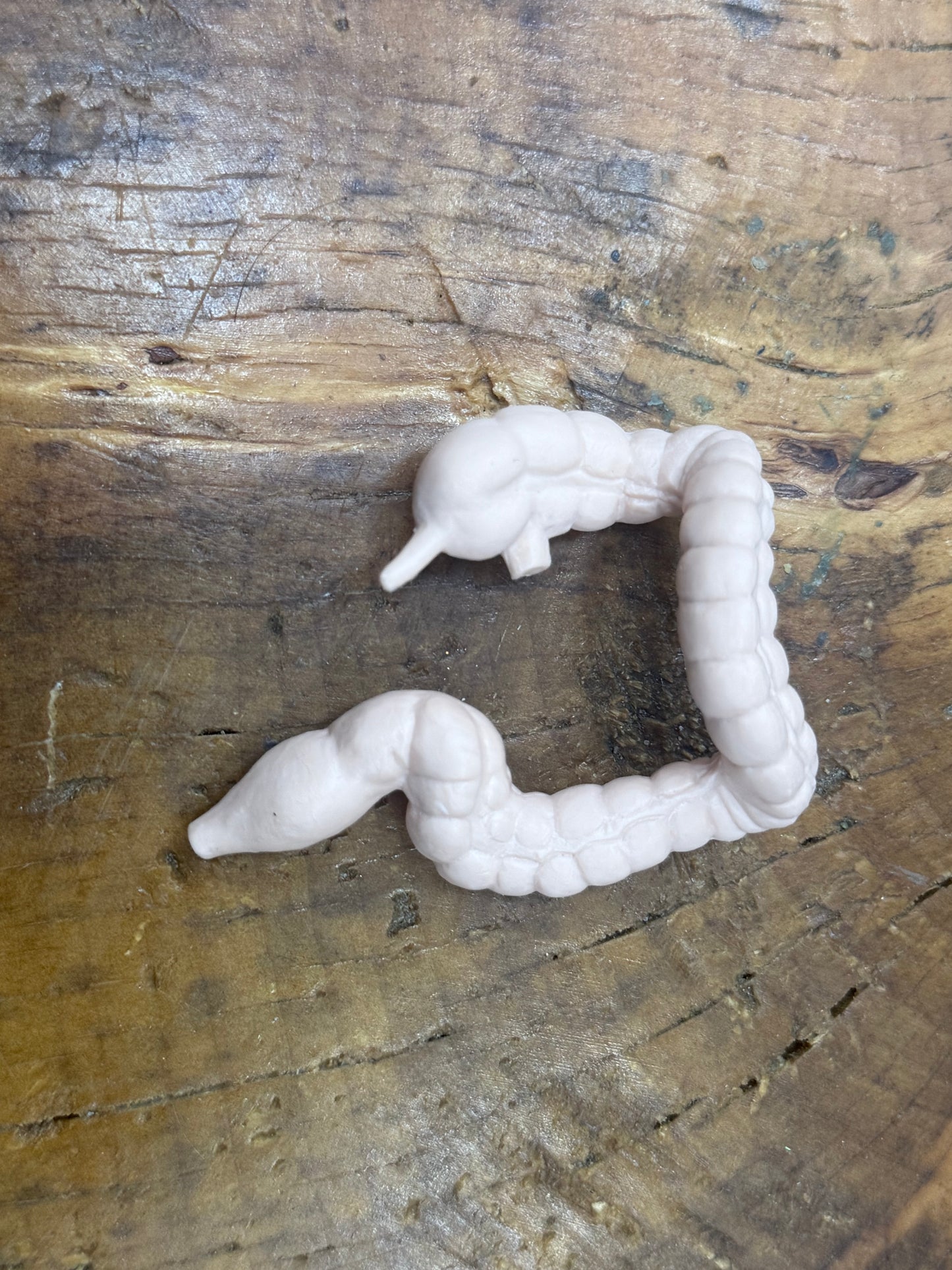 Organ Body Part Miniature Figure