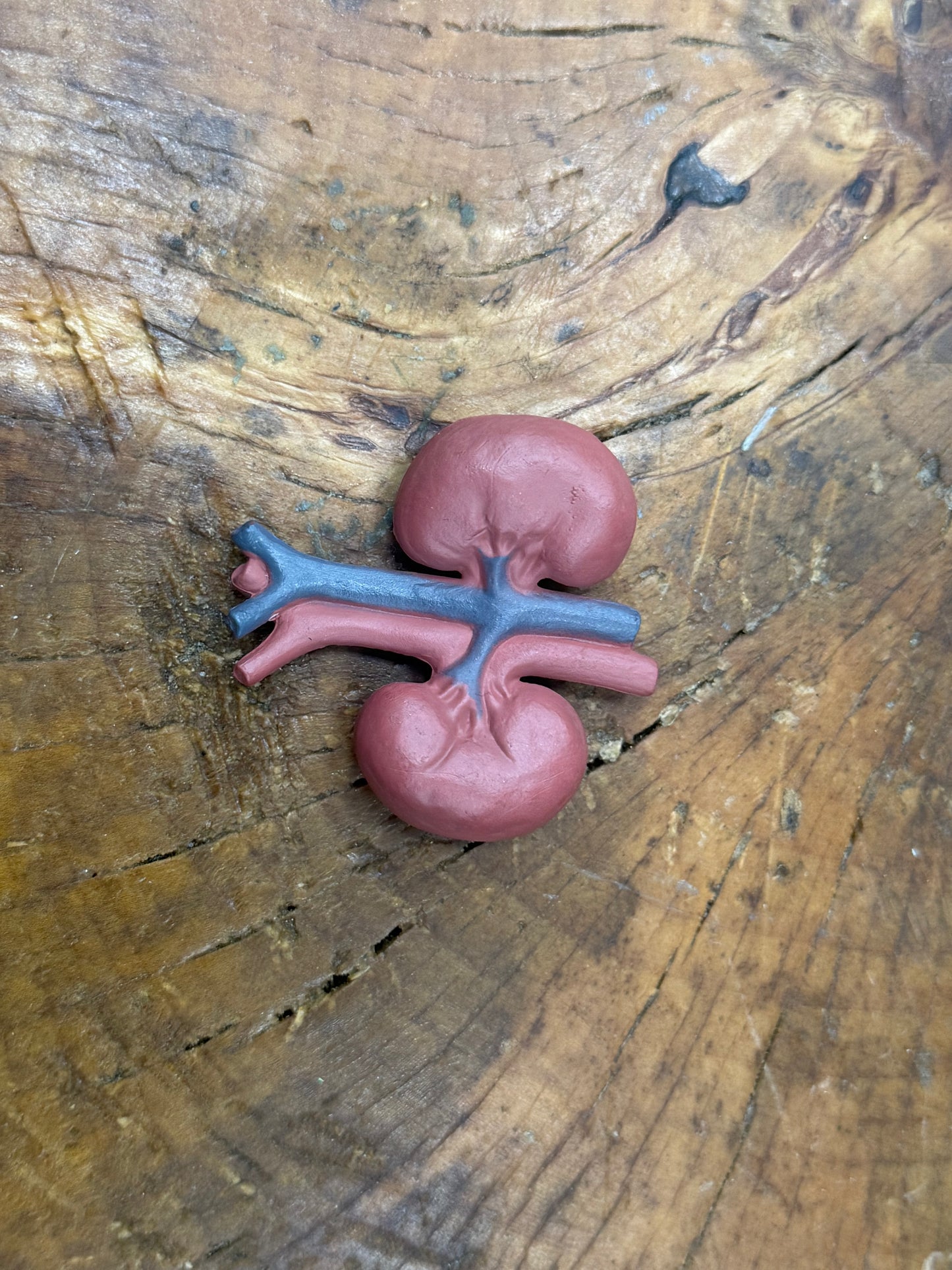 Organ Body Part Miniature Figure