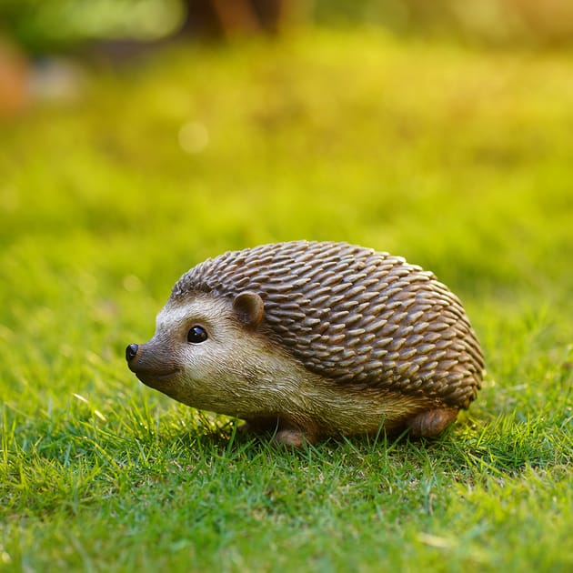 Hedgehog Polyresin Statue