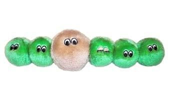 Algae (Anabaena) Giant Microbes Plush