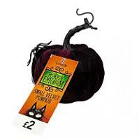 Small Velour Decorative Pumpkin