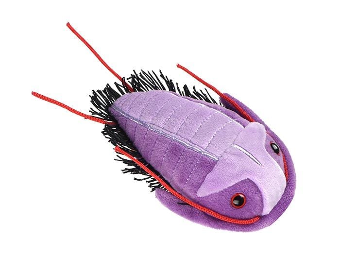 Trilobite (Asaphiscus wheeleri) Giant Microbes Plush