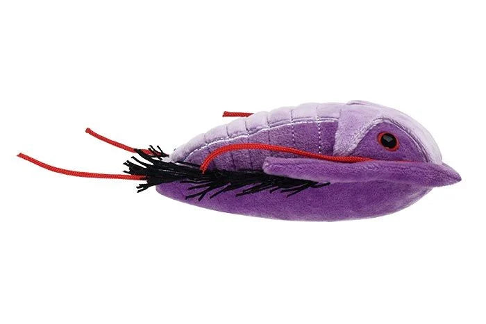 Trilobite (Asaphiscus wheeleri) Giant Microbes Plush
