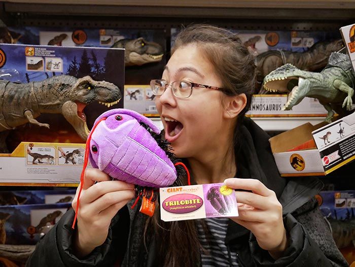 Trilobite (Asaphiscus wheeleri) Giant Microbes Plush