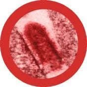 Rabies (Rabies Virus) Giant Microbes Plush
