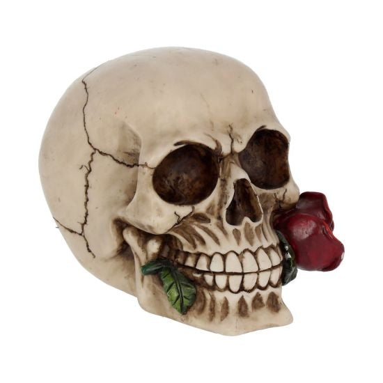Rose from the Dead 15cm Skull