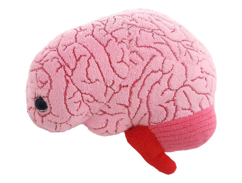Brain Organ Giant Microbes Plush