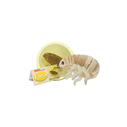 Flea (Ctenocephalides felis) Giant Microbes Plush
