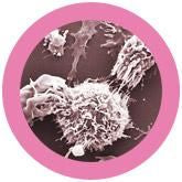 Breast Cancer Reversible Giant Microbes Plush