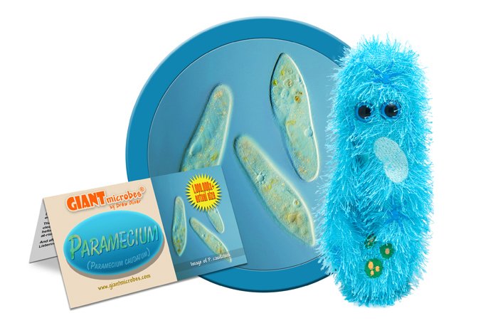Paramecium Giant Microbes Plush