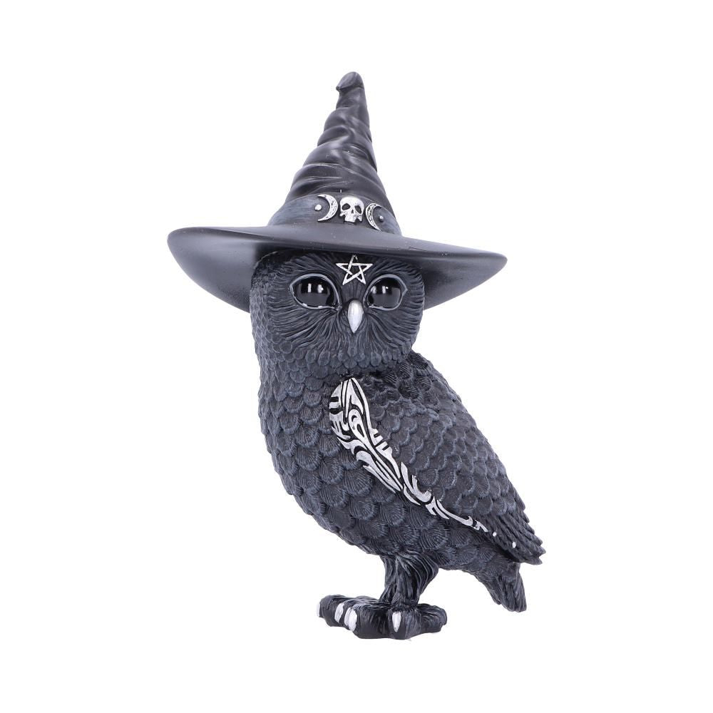Cult Cuties Owlocen 13.5cm
