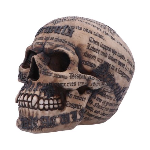 Dracula’s Tale Skull