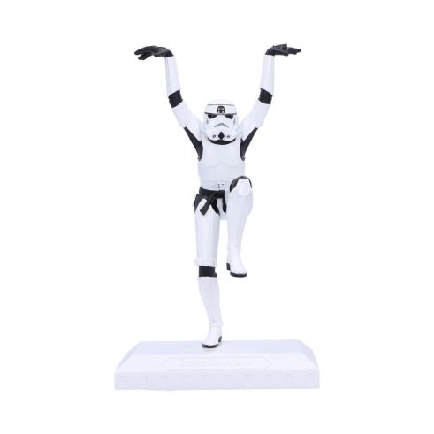 Original Stormtrooper Crane Kick Statue