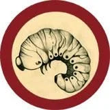 Bookworm (Anobium punctatum) Giant Microbes Plush