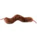Diarrhea (Campylobacter jejuni) Giant Microbes Plush