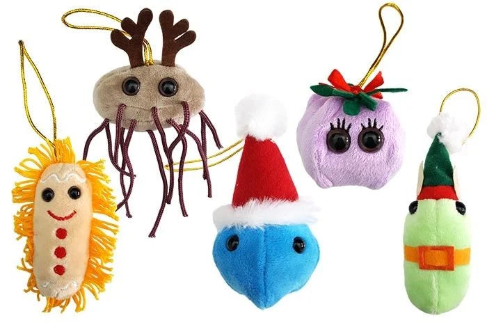 Germ Christmas Box
