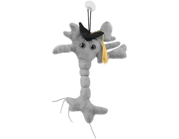 Graduation Brain Cell Plush Doll (Neuron) Giant Microbes Plush